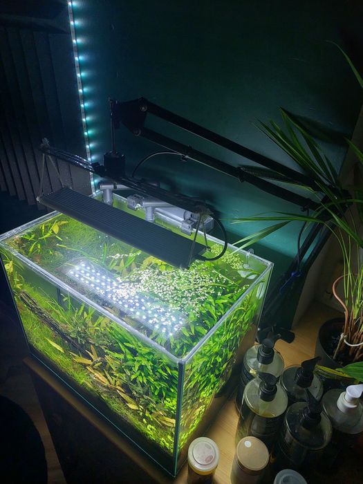 OKAZJA Zestaw akwarium 30l z wyposażeniem / Aranżacja / Roślinne / Co2