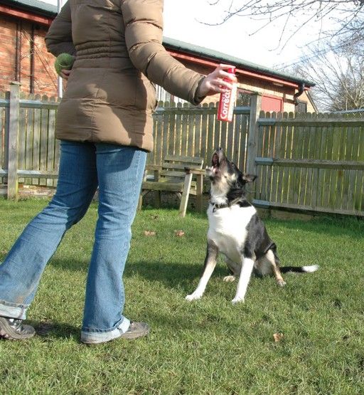Spay do szkolenia zwierząt PetCorrector syk sprężonego powietrza 200ml
