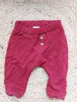 Ocieplane legginsy spodnie 68 newbie bordowe bordo