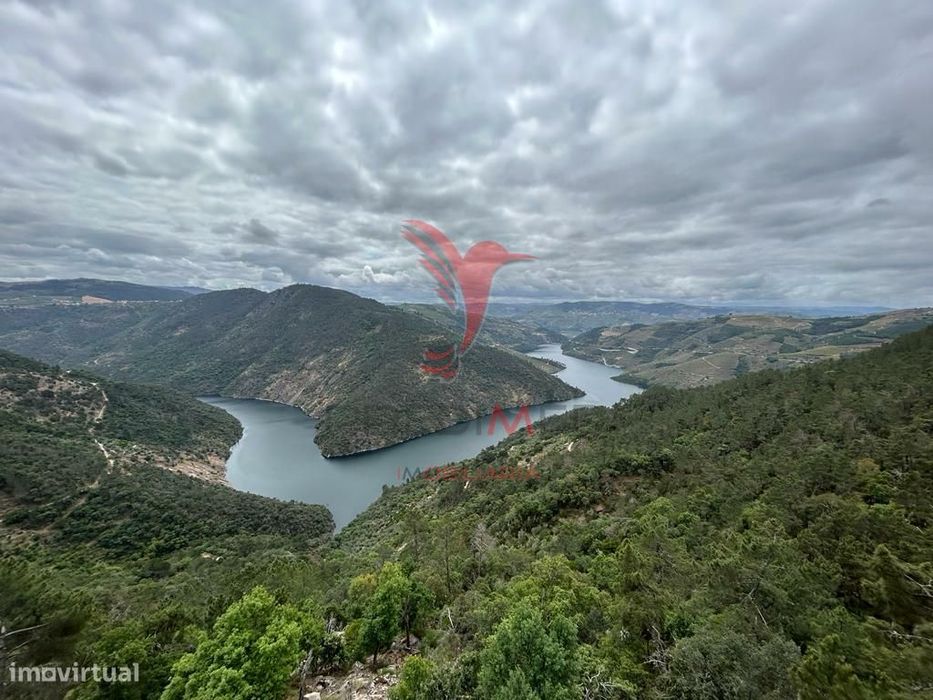 Casa Em Banda - Douro Vinhateiro
