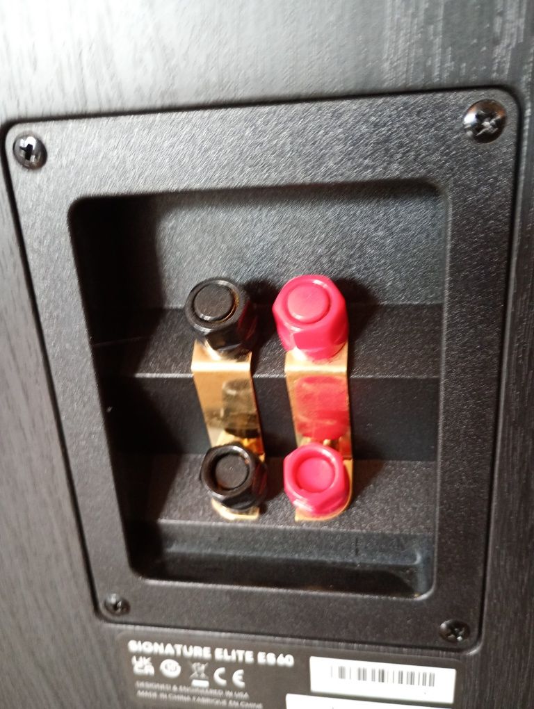 Kolumny podłogowe Polk Audio es60