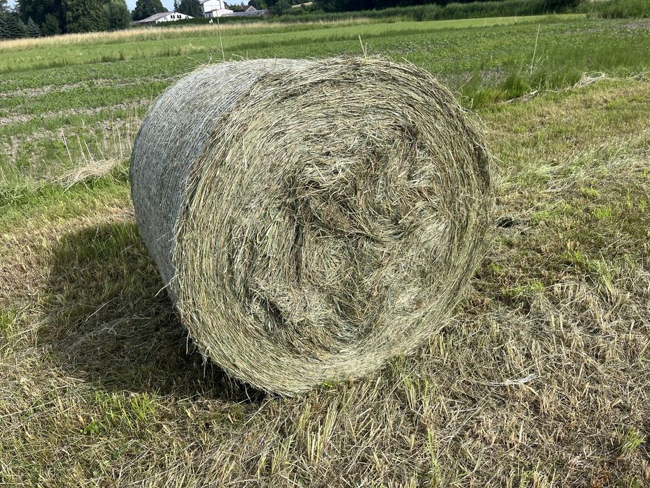 Siano bele 120x120 FAKTURA VAT