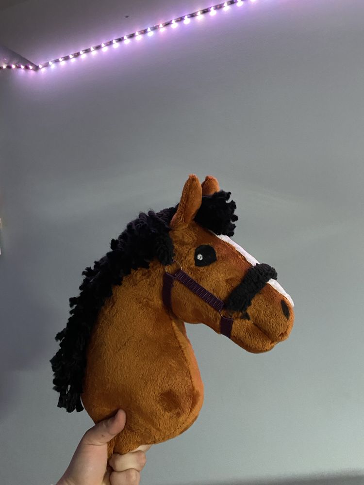 hobby horse rudy