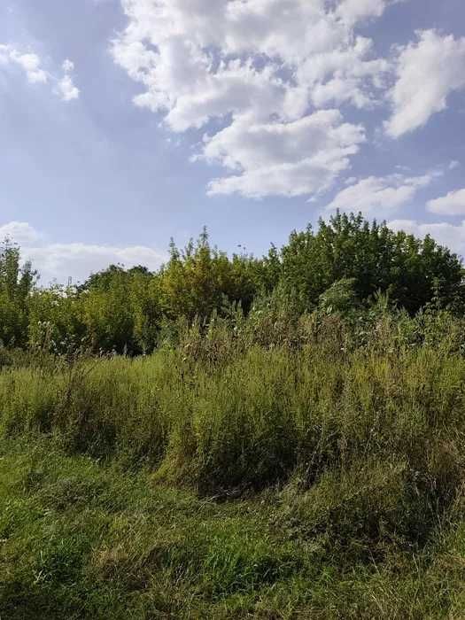 D1C Продам участок Большая Даниловка