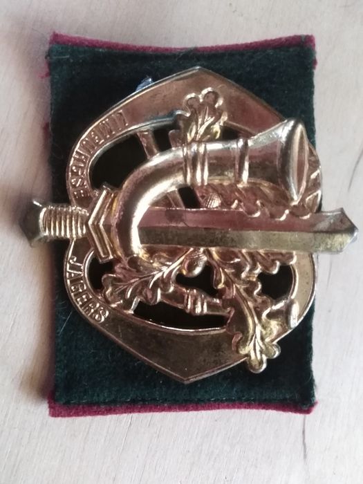 Kolekcjonerskie wpinki bojowe bojówki