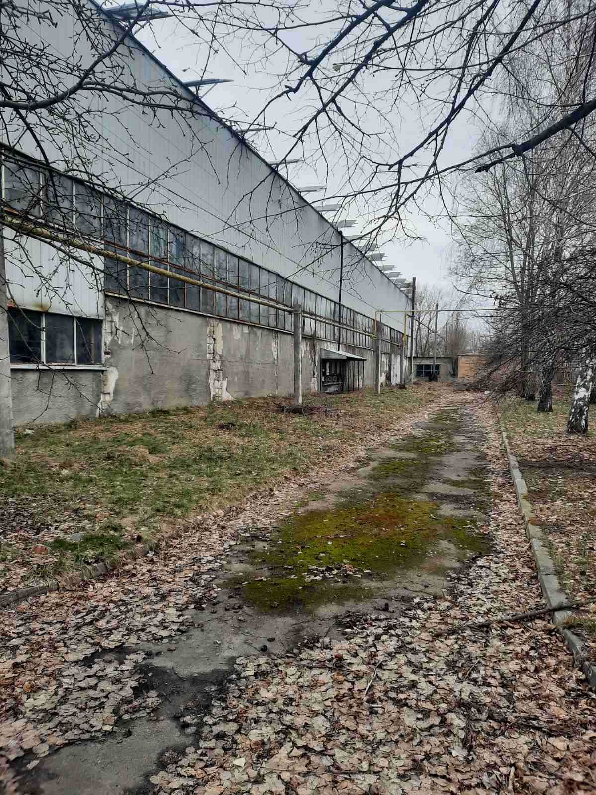 Аренда производственно-складского цеха, г. Борисполь