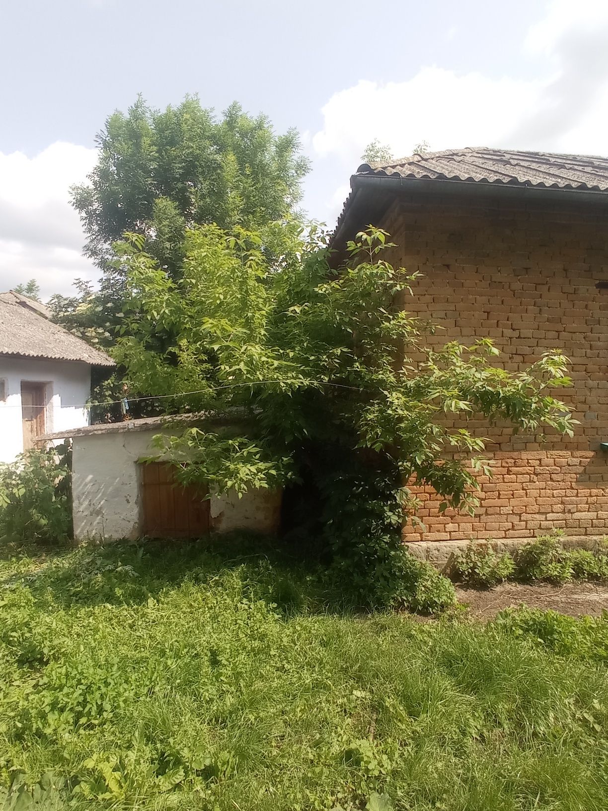 Будинок в селі Ілавче