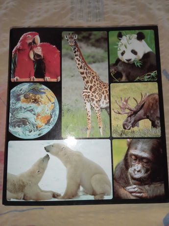 Oddam encyklopedia zwierząt
