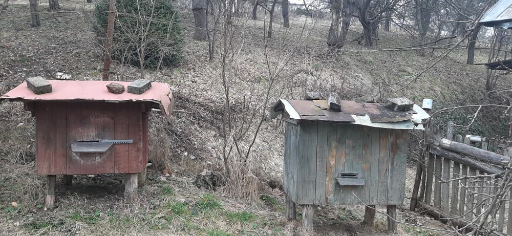 Вулики (пасіка) село Рокитне