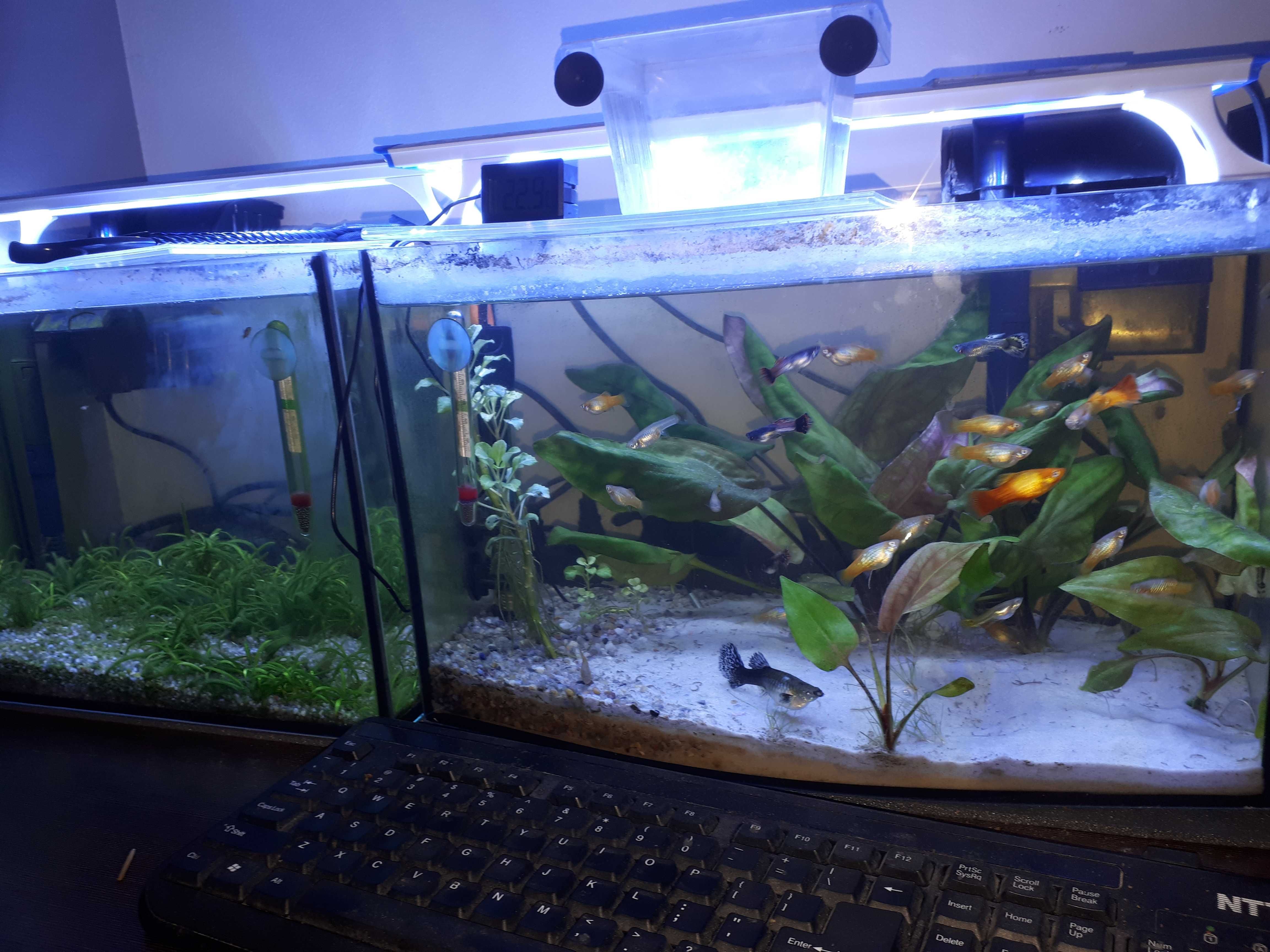 Akwarium 25 l z całym sprzętem