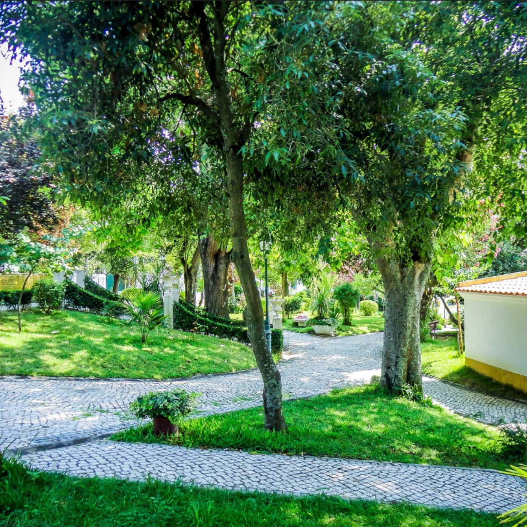 Terreno Urbano à Venda na Chamusca – 350m² em Zona Tranquila