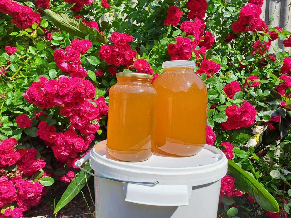 31.08 викачений мед, на залишку 5 банок 3х літрових, Липа 80% трави 20