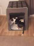 Torba podróżna First Class Basic, klatka kennel, transporter dla psa