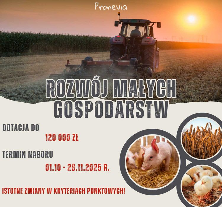 Pomoc w dotacjach – ARiMR, Urząd Pracy, LGD, Czyste Powietrze
