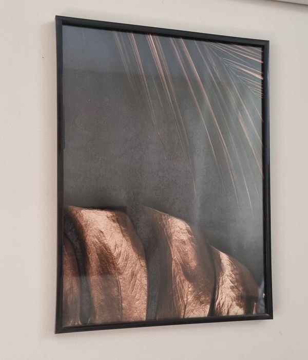 Conjunto de quadros/molduras