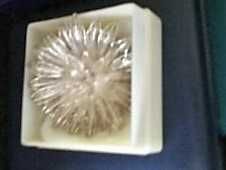 Alfinete flor prata de lei