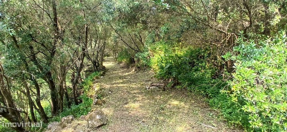 Terreno misto em Cascais