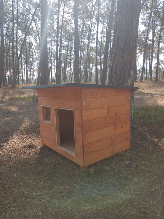 Casota para buldogue francês