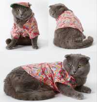 Roupa - Camisa para gato / cao