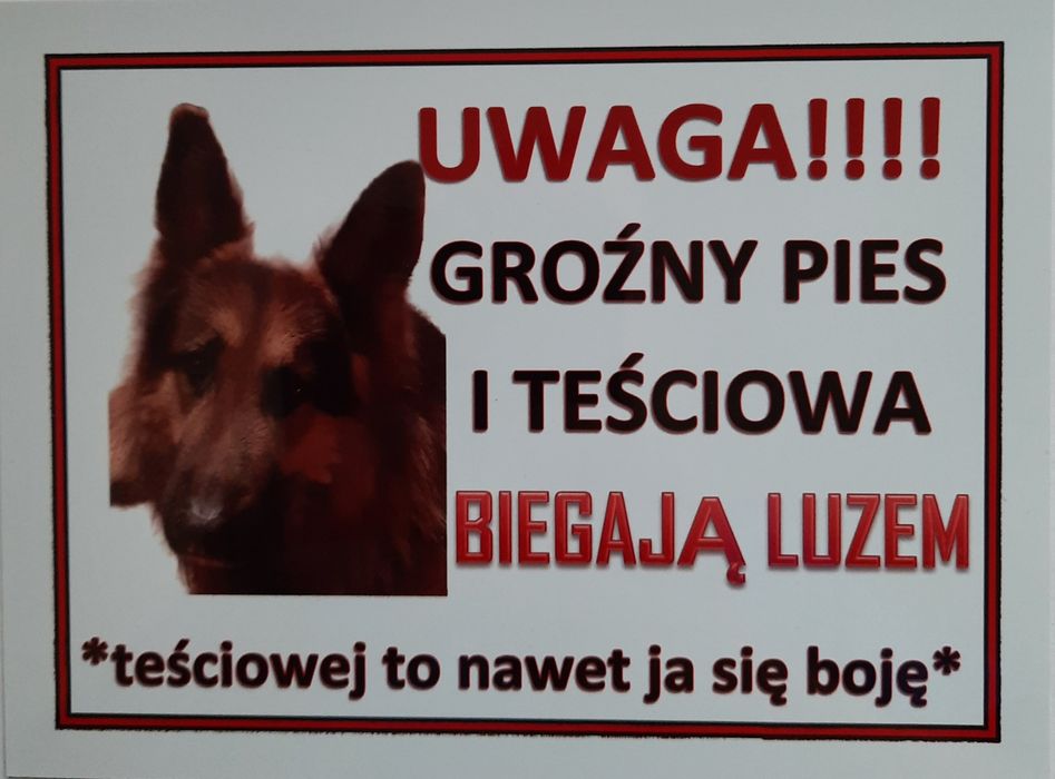 Tabliczka ostrzegawcza UWAGA GROŹNY PIES I TEŚCIOWA