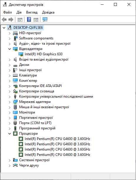 Комплекти s1151 Gigabyte GA-H110M-S2V MicroATX + Pentium G4600 3.60GHz