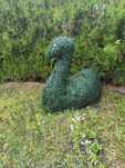 Kaczka Łabędź Topiar Topiary na stelażu z Bukszpanu