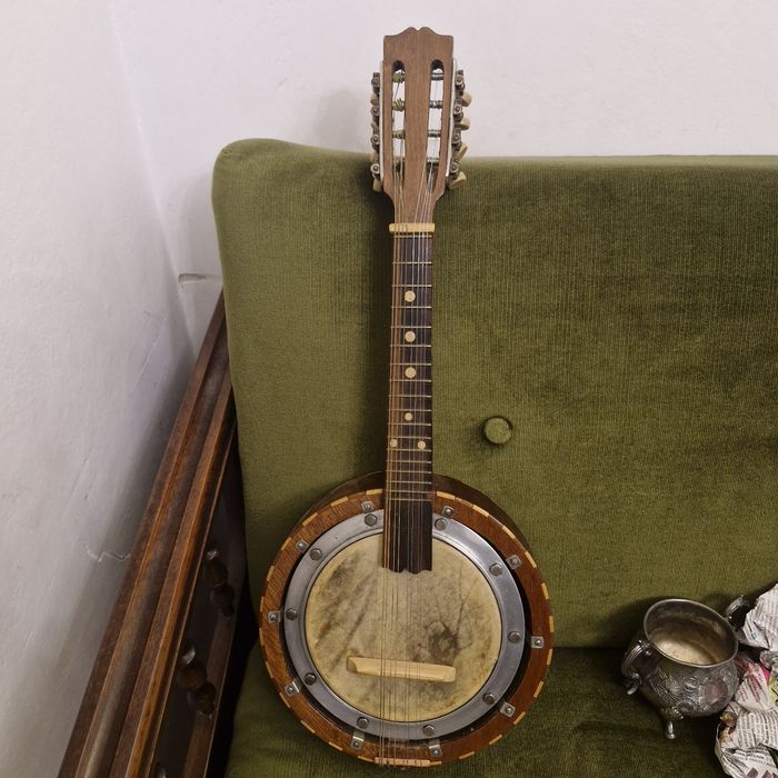 Banjo instrument