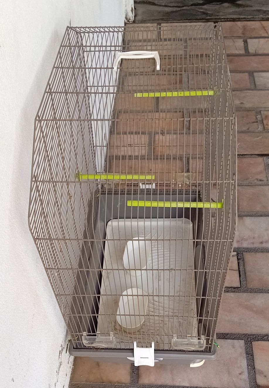 Casal de caturras mais gaiola