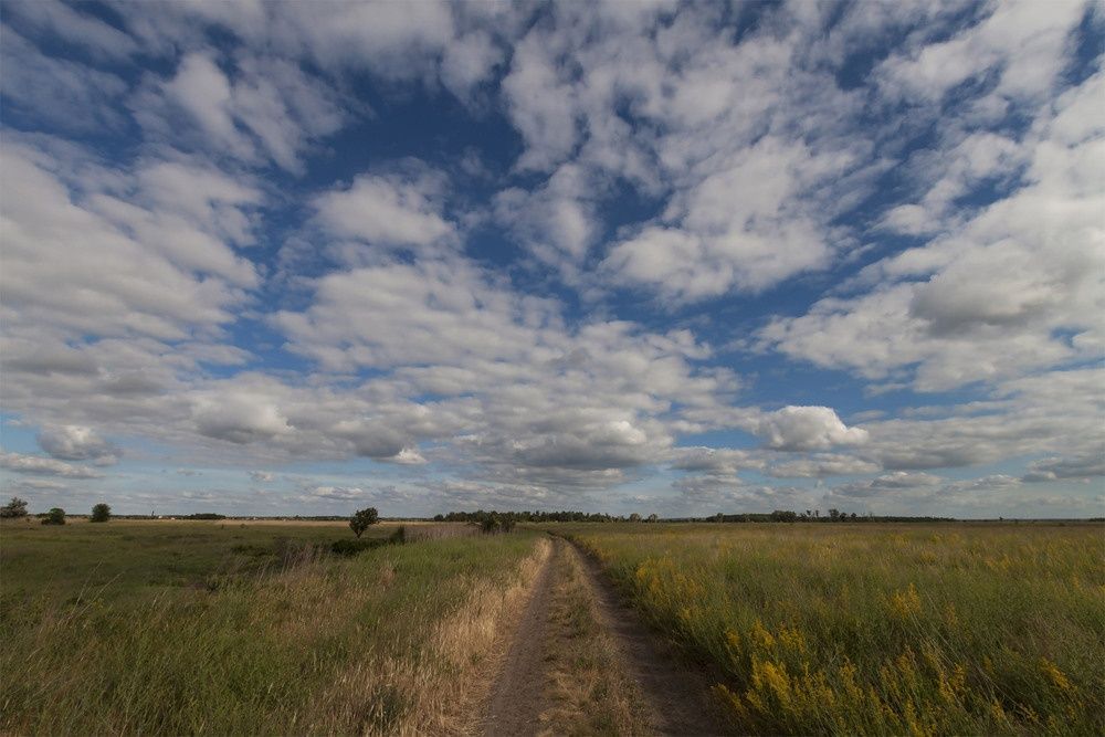 Sigma AF 10-20mm f/3.5 EX DC HSM для Canon