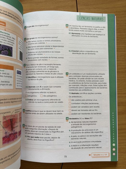 Revisões para todo o ano 6 ano