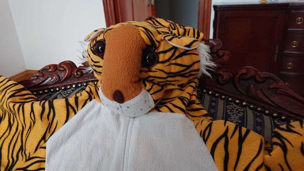 Strój tygryska, stan BDB, r. 116