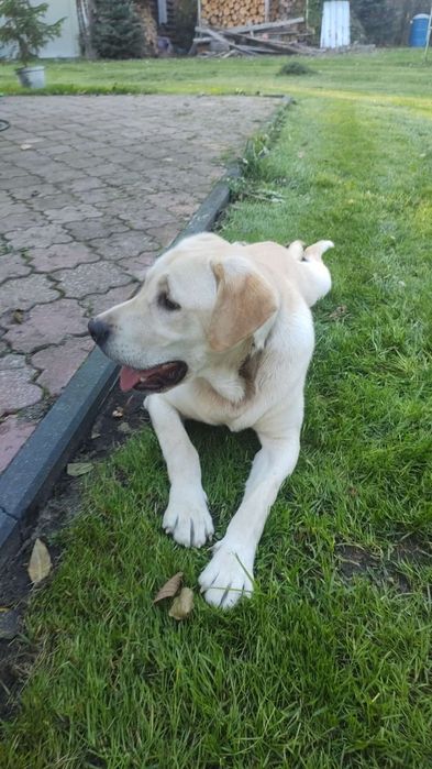 Oddam tylko w dobre ręce.