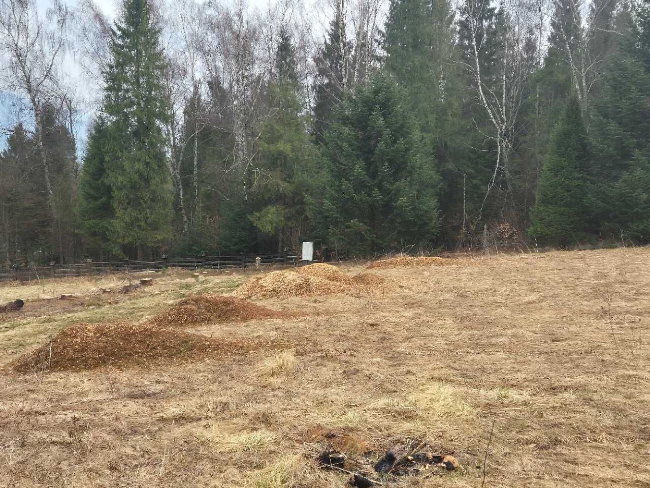 oddam za darmo zrębki, trociny