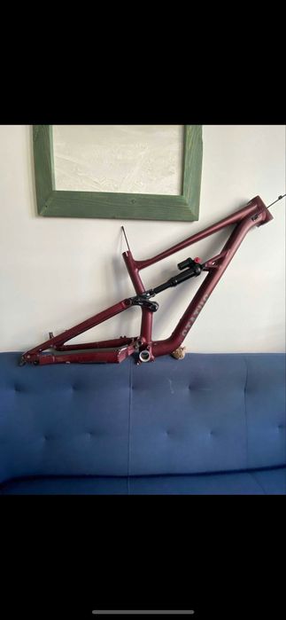 Frameset specialized status 160 s3 (m)