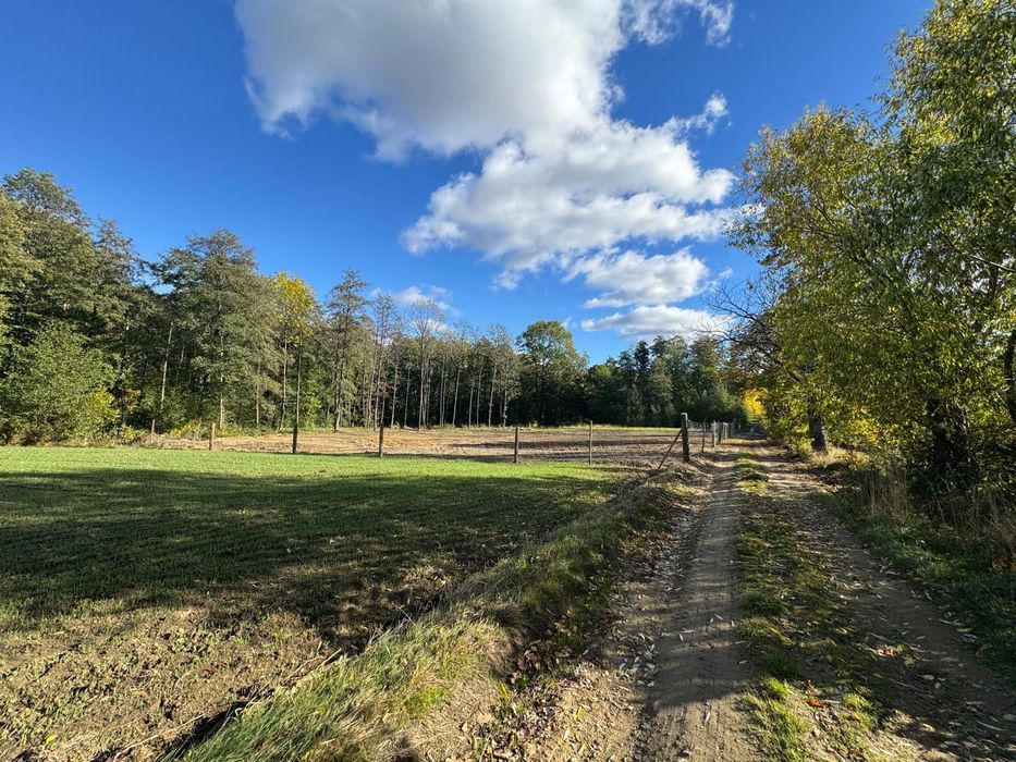 Działka budowlana Jemna 45 arów