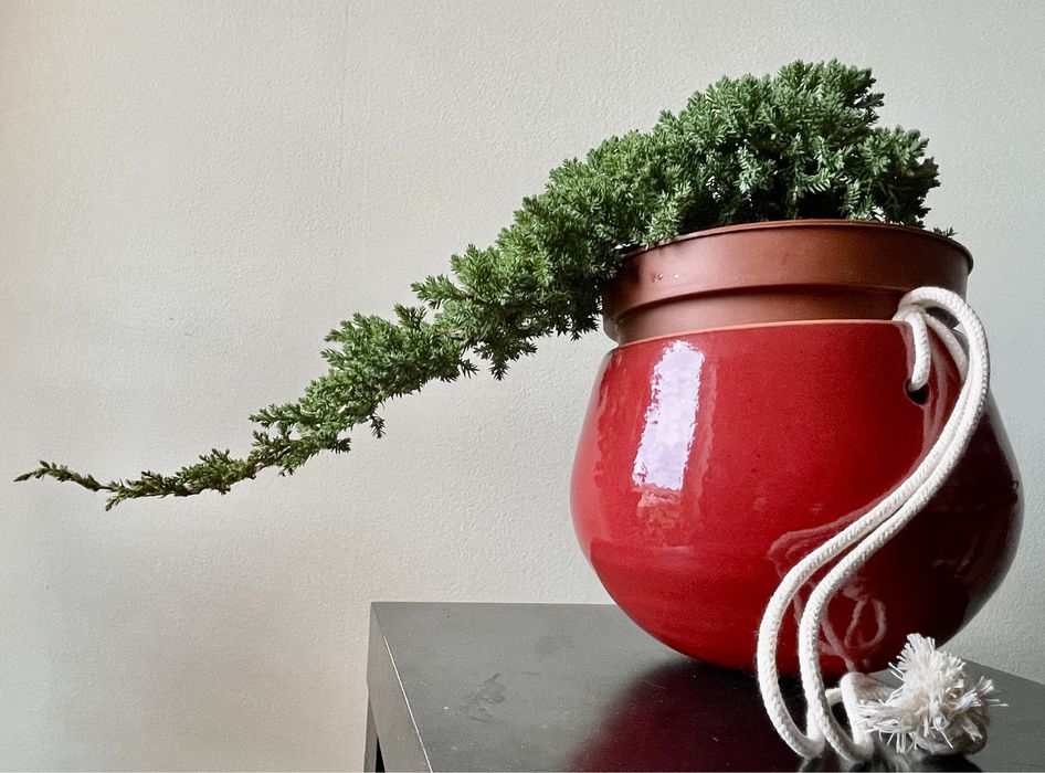 Vaso Floreira Pendurar Bonsai,  Suculentas