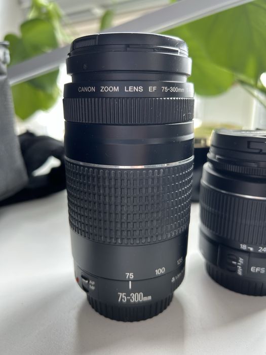 Aparat Canon 750D + obiektyw 75-300 mm + dodatki