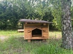 Drewniana, zaimpregnowana  buda solidna