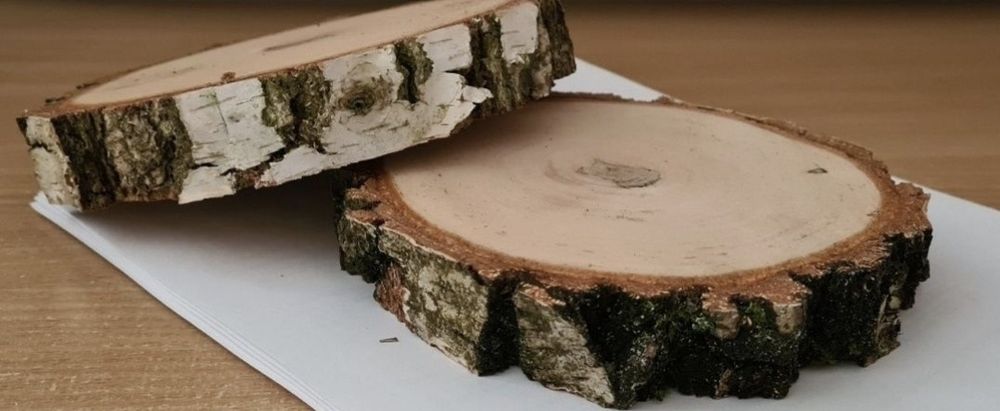 Krążki drewniane o średnicy od 8 do 17 cm