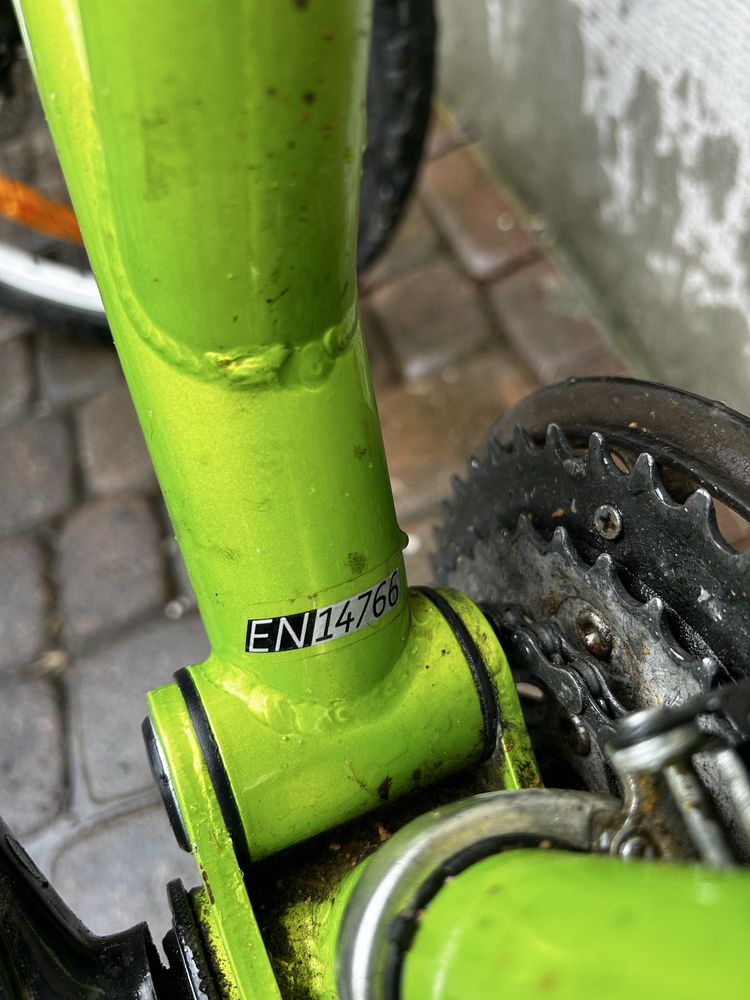 Rower dinotti 24 cale