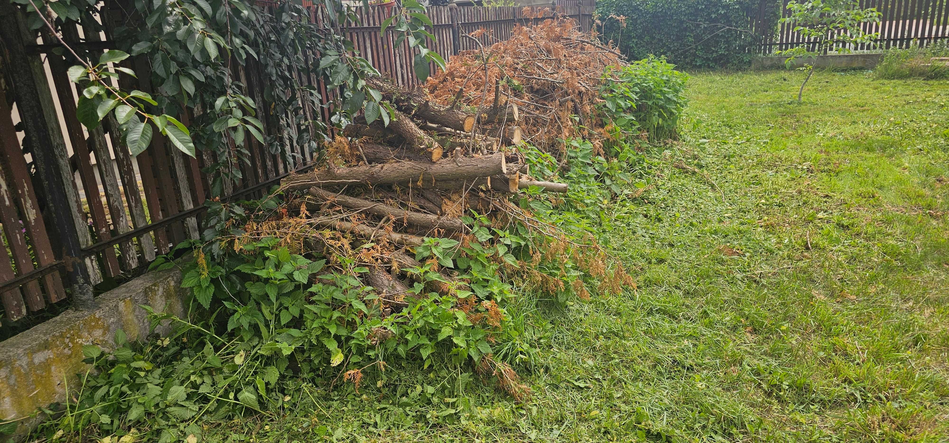 Oddam drewno pozostałe po remoncie budynku