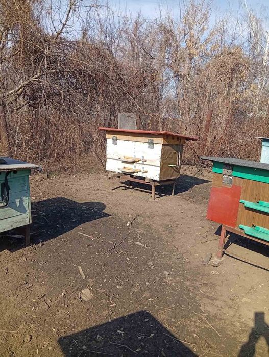 Вулики нові і бу з бжільми