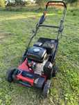 Wertykulator spalinowy Cedrus WR01 2w1