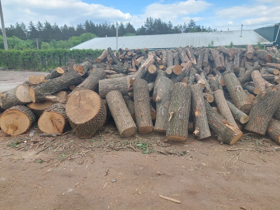 Дрова. ДУБ, АКАЦЫЯ, ЯСень., ПДВ.