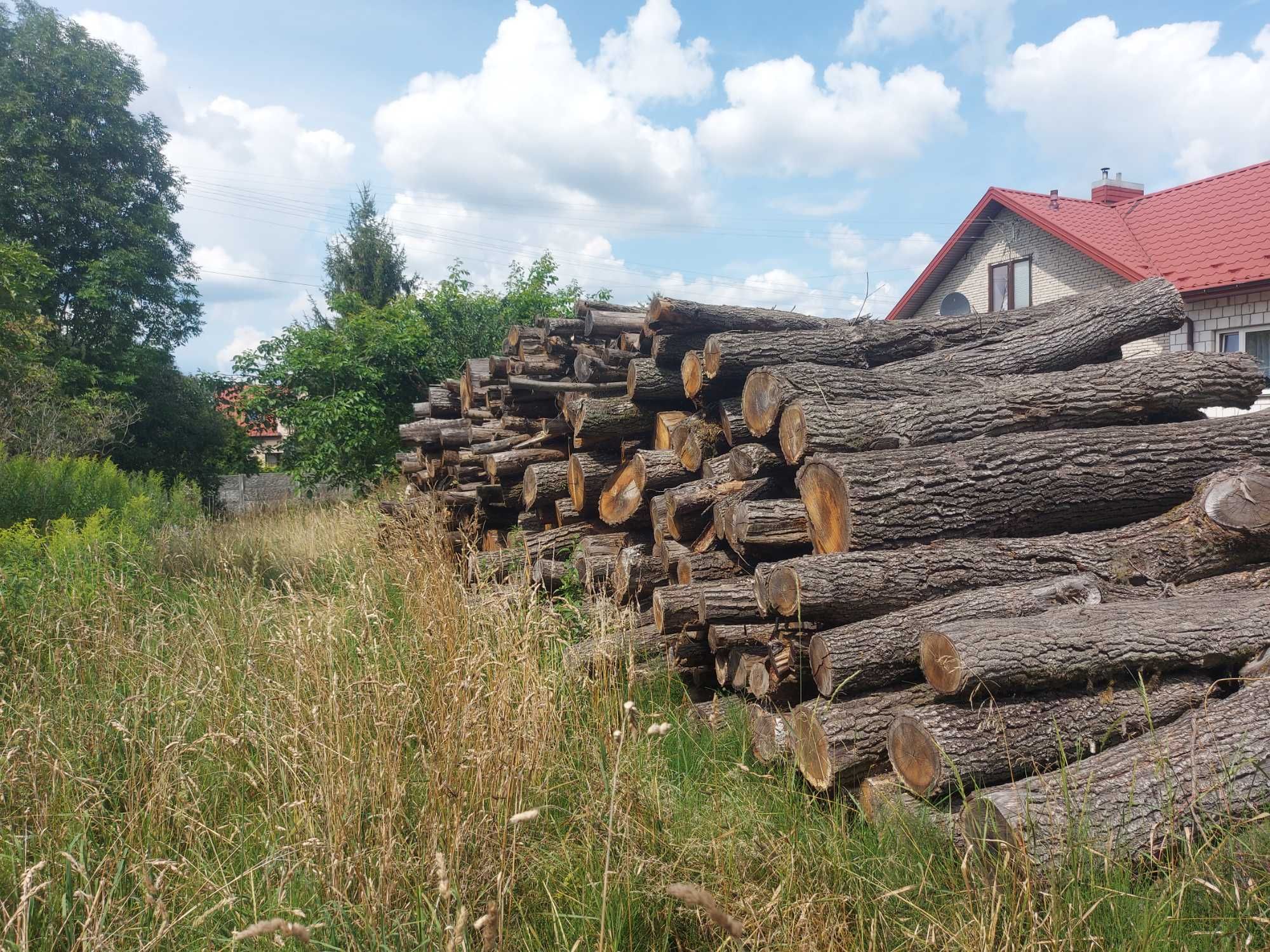 Drewno opałowe -Dąb