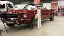 Młodzi samodzielnie Mustangiem-Camaro-Corvette-Merc