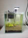 Akwarium Aquael Shrimp Set 30 Day Night