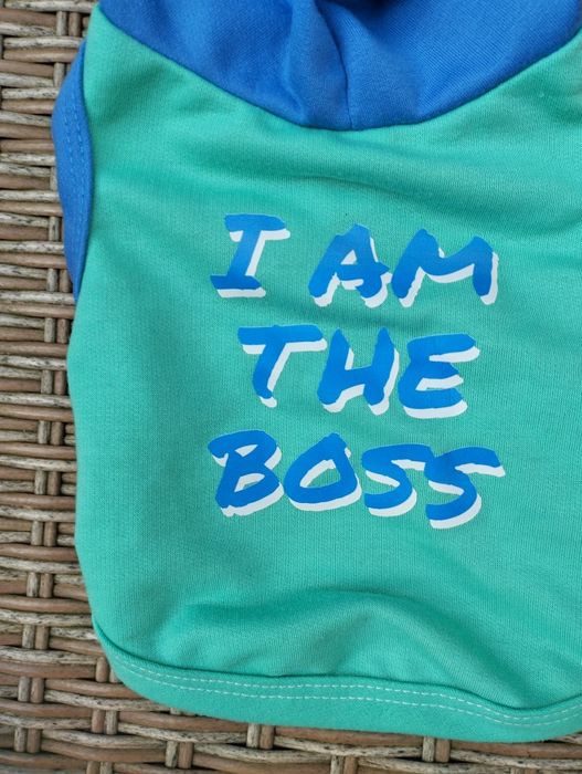 Ubranie dla psa małego i m the boss