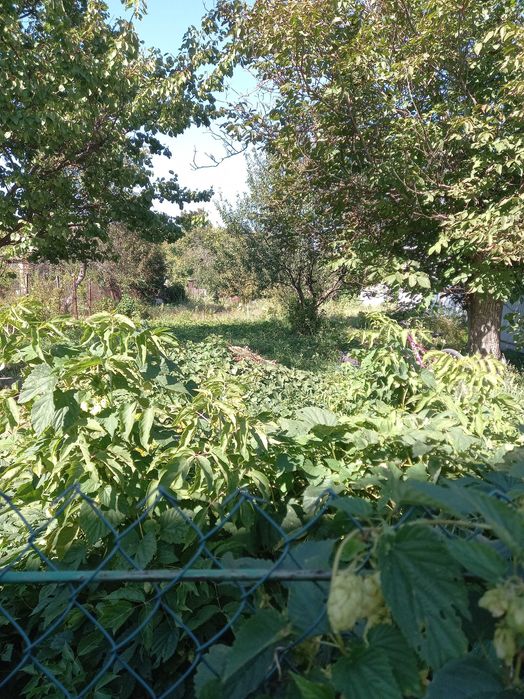 Продаж земельної ділянки у м Суми