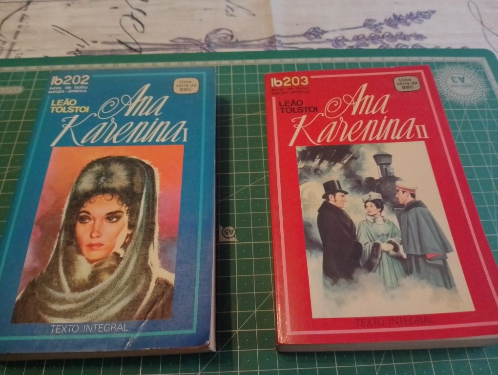 Livros  Ana Karenina de leão Tolstoi